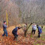 20180311_VdL_Ventajols_AtelierTaille