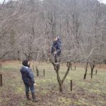 VdL_20180311_Atelier_taille _restructuration_Ventajols_#4 _1100x825-72