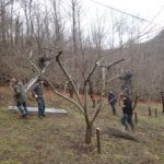 VdL_20180311_Atelier_taille _restructuration_Ventajols_#5 _1100x825-72.jpg