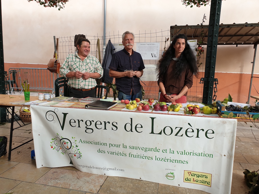 You are currently viewing Vergers de Lozère aux Toqués du Cèpe