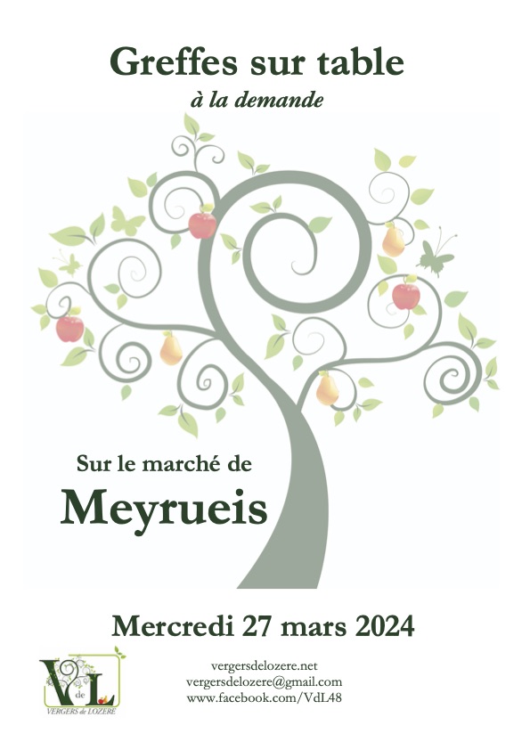 You are currently viewing Greffe sur table à Meyrueis le 27 mars 2024