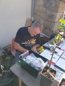 Lire la suite à propos de l’article Retour sur : Apprendre à greffer à St Germain du Teil