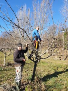 Lire la suite à propos de l’article Castanet : la chasse au greffon – 23 janvier 2025