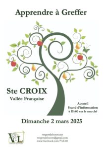 Lire la suite à propos de l’article Apprendre à Greffer, le 2 mars à Ste Croix VF