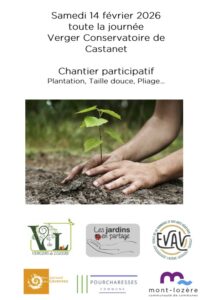 Lire la suite à propos de l’article 14 février 2026 : Journée multitâches au verger de Castanet